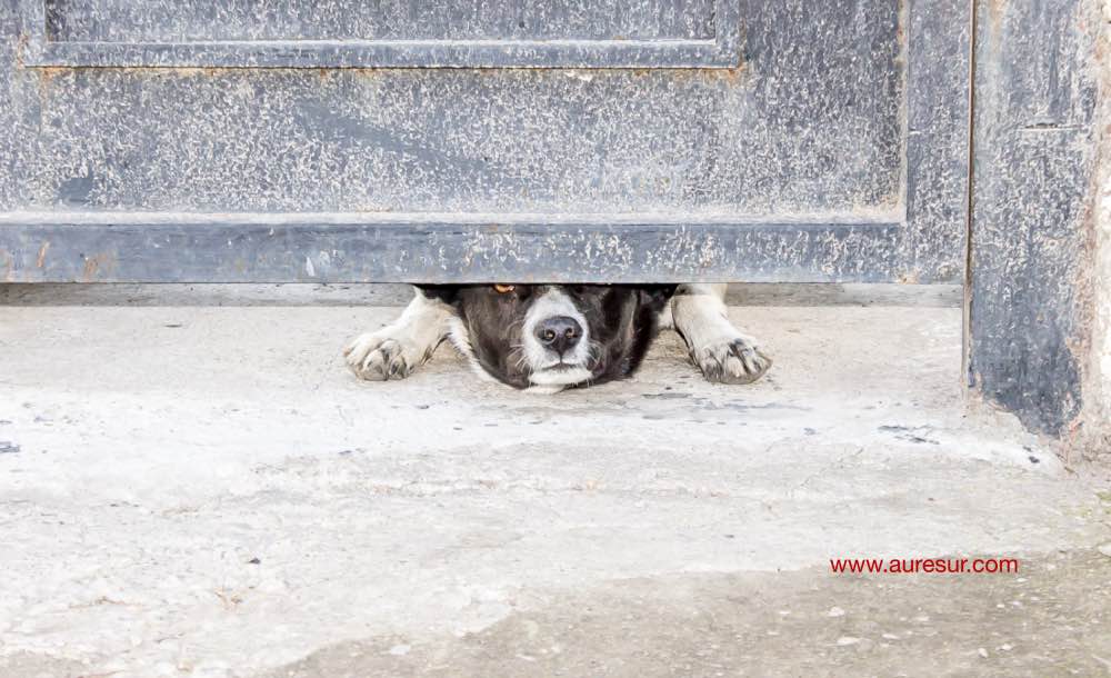 Seguridad de nuestra vivienda en verano!